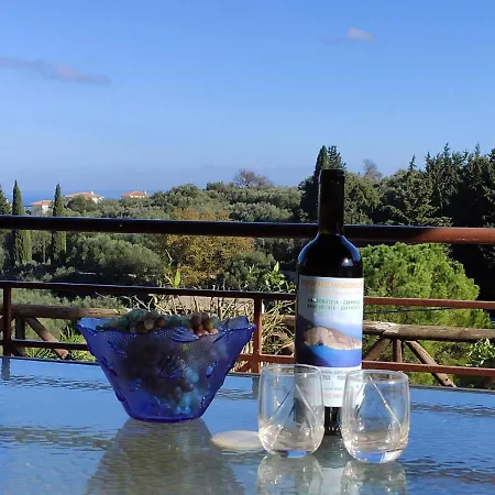 Vozas - Traditional With Great View فيلة تراغاكي
